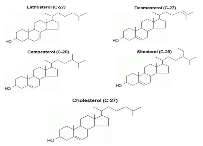 cjog-aid1026-g002