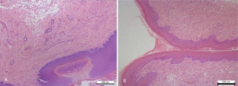 cjog-aid1036-g003