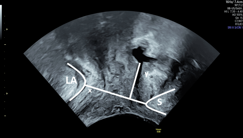 cjog-aid1061-g004