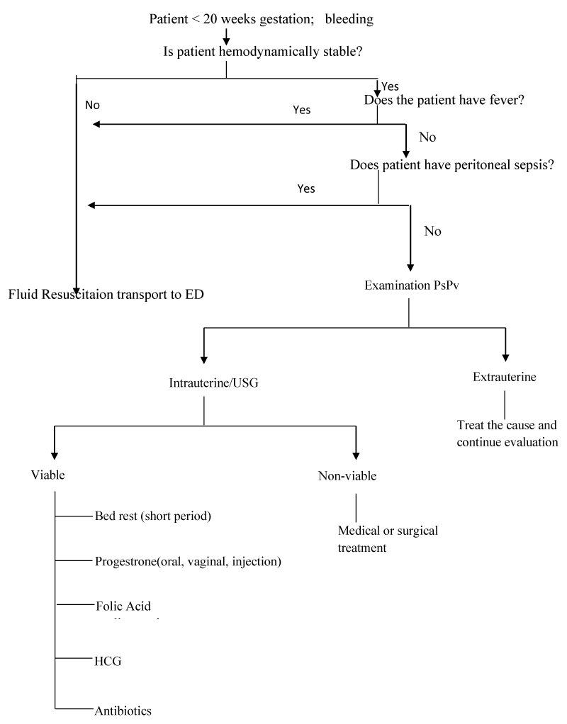 cjog-aid1070-g003