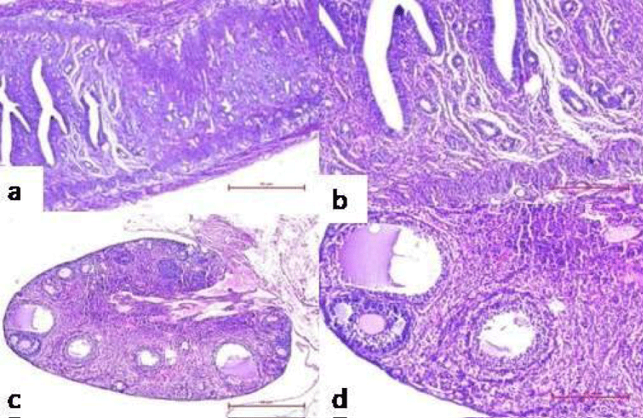 cjog-aid1083-g012